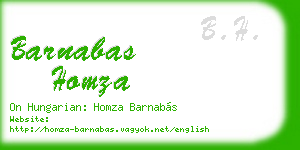 barnabas homza business card
